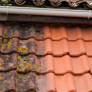 Roof Cleaning Offaly