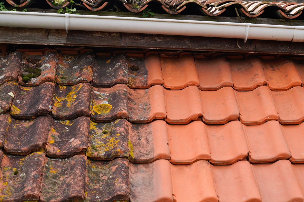 Cleaning Roof in Offaly