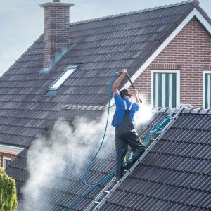 Roof Cleaning Laois